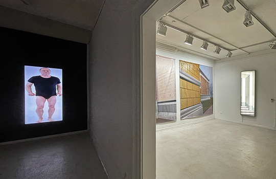Eike Berg: SHIFT - Fear and Curiosity, Künstlerhaus Göttingen - left: Golden Cage (update), right: Observation II, III, I