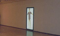 Eike: Golden Cage, 2001, video installation, silent, 2:40, projection into a picture frame