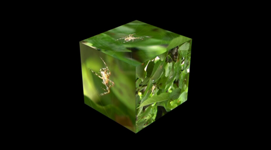Eike: Cube, single channel video, 2008, still from the video