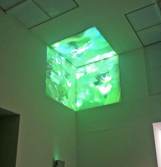 Eike: Cube, Museum Kunst Palast, Düsseldorf, 2009